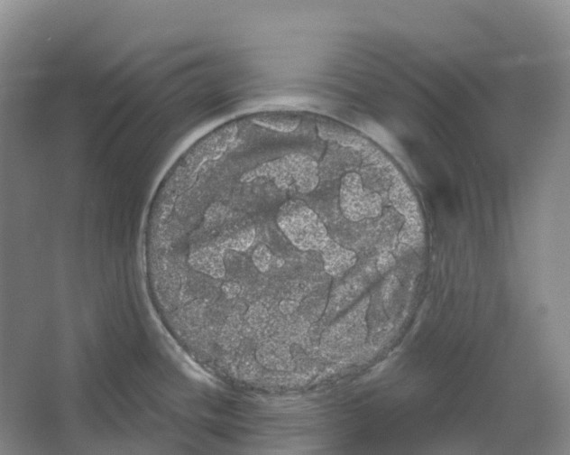 X0000066121436200603311524