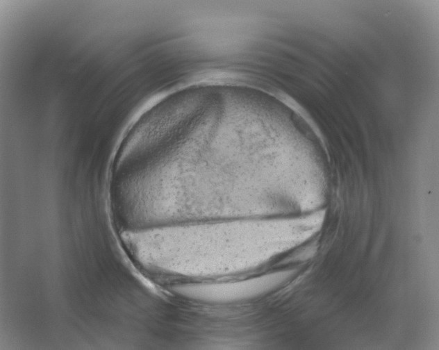 X0000066121437200603311524