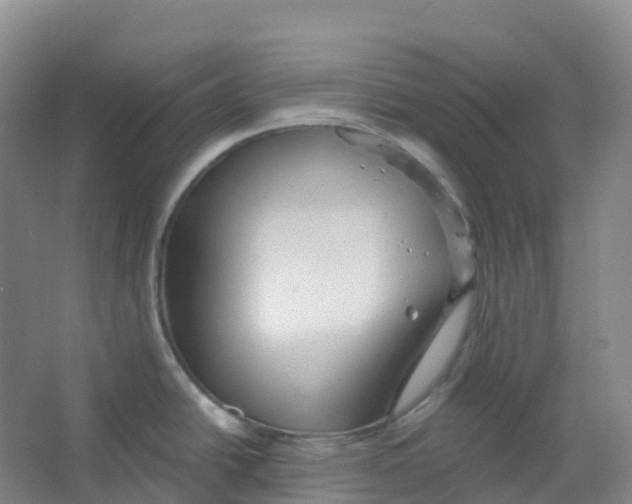 X0000066121438200603311524