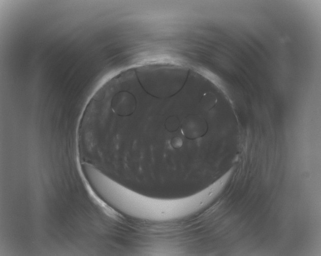 X0000066121439200603311524