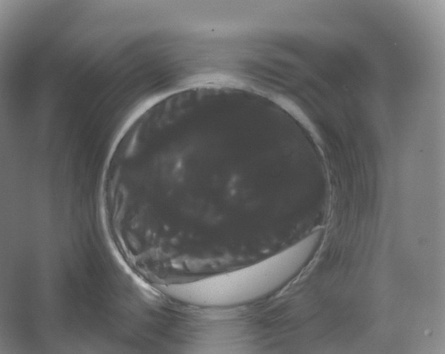 X0000066121440200603311524