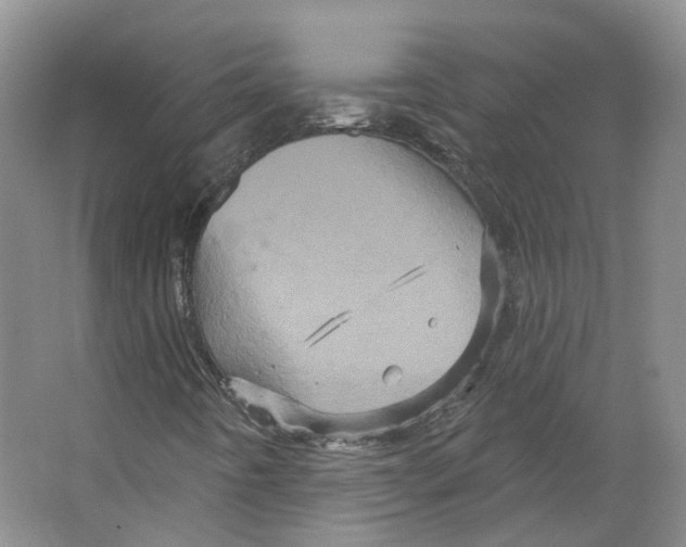 X0000066121442200603311523