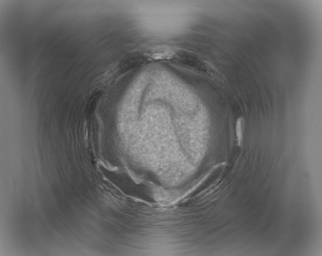 X0000066121443200603311523