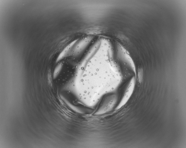 X0000066121444200603311523