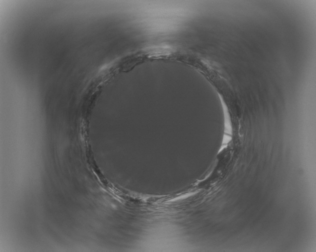 X0000066121445200603311523