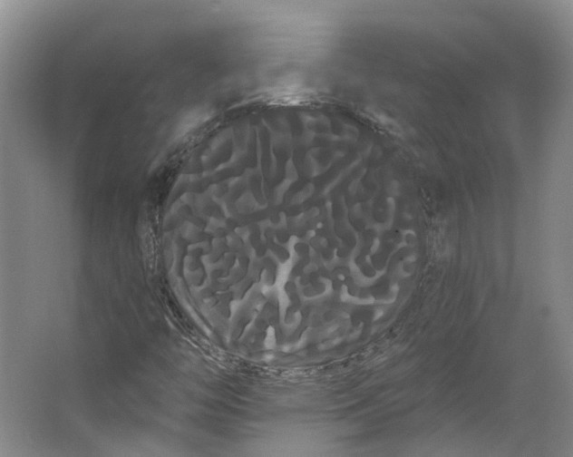 X0000066121446200603311523