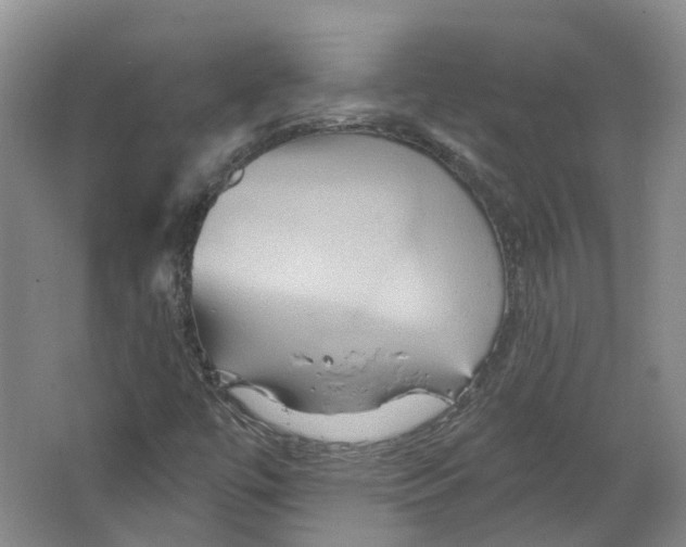 X0000066121447200603311523