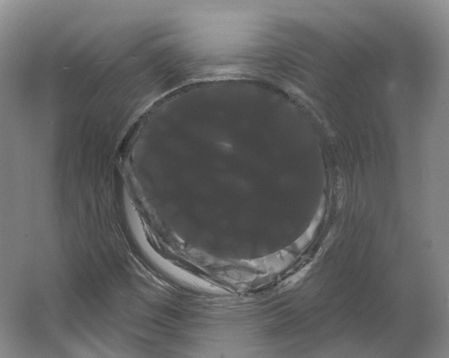 X0000066121449200603311523