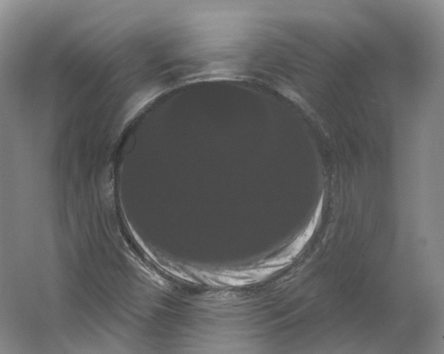 X0000066121450200603311523