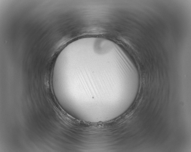 X0000066121451200603311523