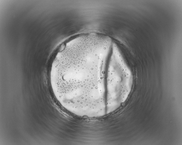 X0000066121452200603311523