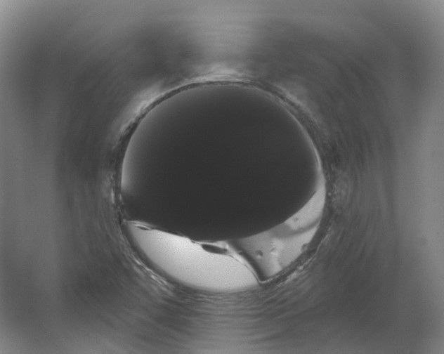 X0000066121455200603311523