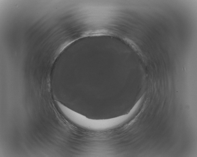 X0000066121457200603311523