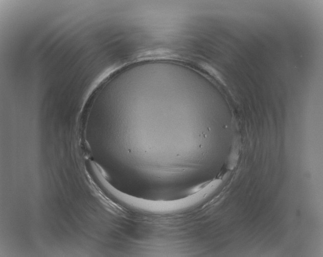 X0000066121458200603311523