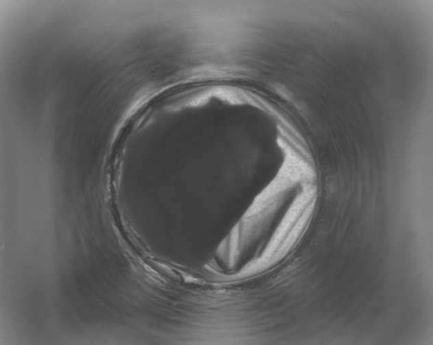 X0000066121459200603311523