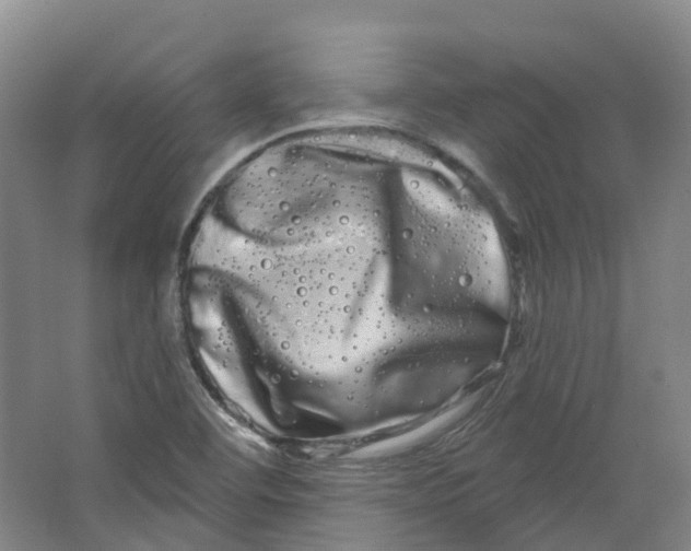 X0000066121460200603311523