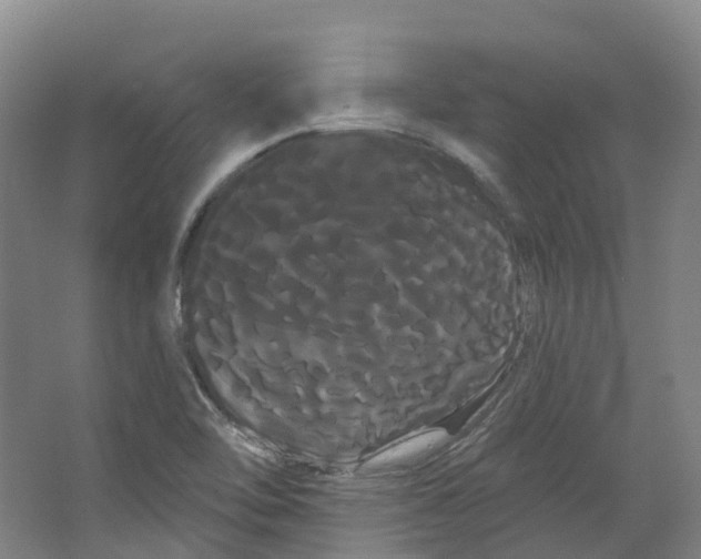 X0000066121462200603311523