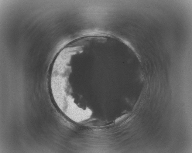 X0000066121463200603311523