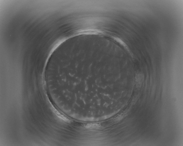 X0000066121466200603311523