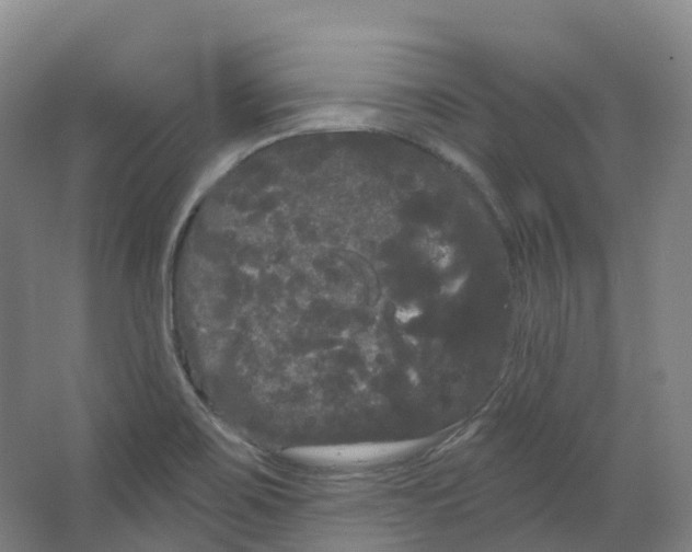 X0000066121467200603311523