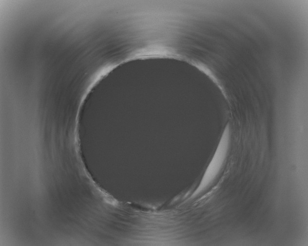 X0000066121469200603311523