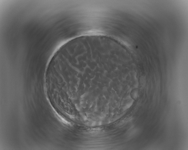 X0000066121470200603311523