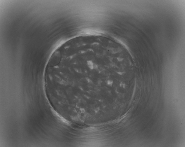 X0000066121471200603311523