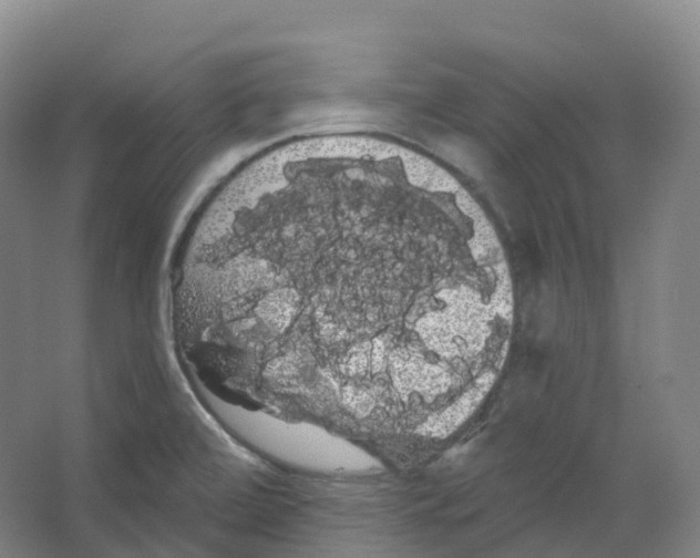 X0000066121472200603311523