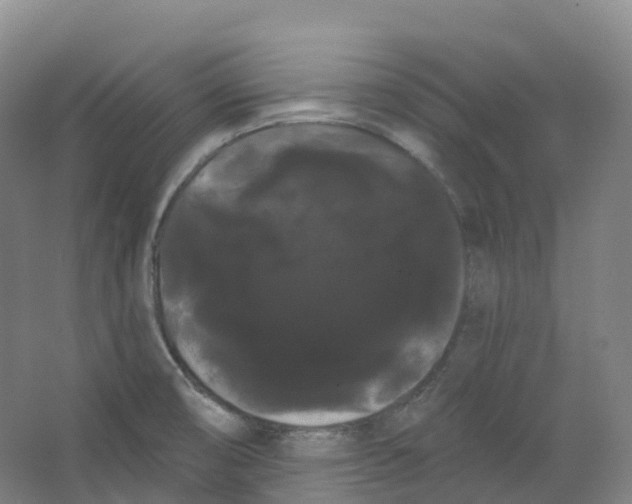 X0000066121474200603311523