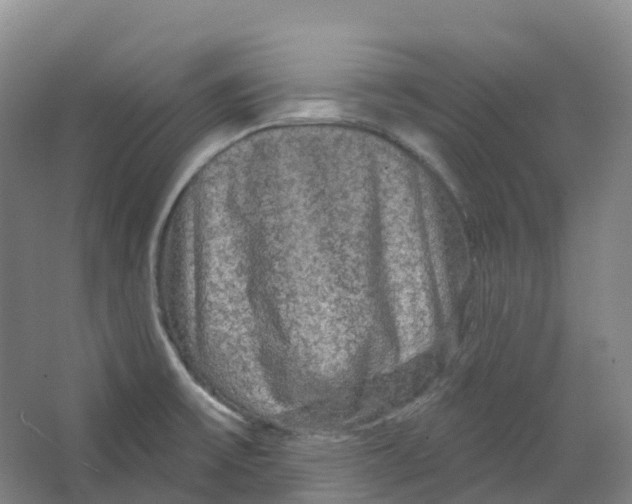 X0000066121475200603311523