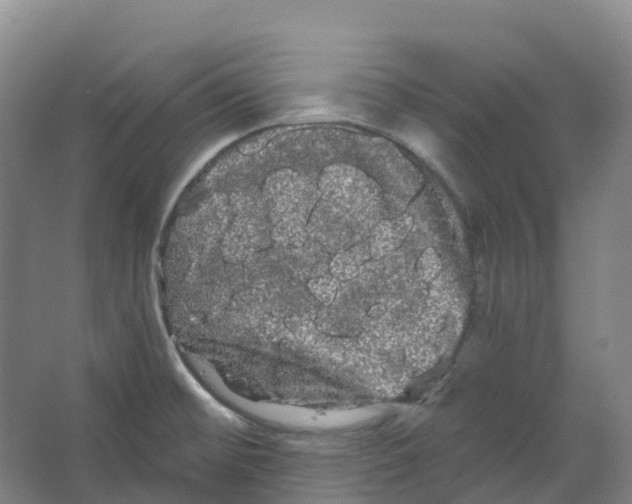 X0000066121476200603311523