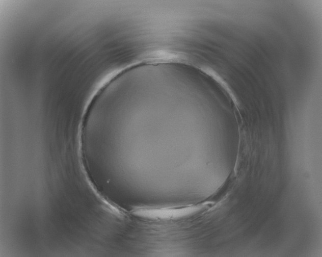 X0000066121477200603311523