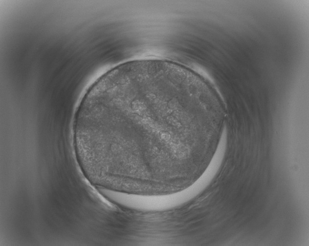 X0000066121480200603311523