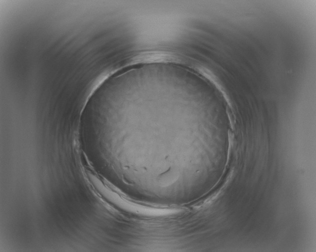 X0000066121481200603311523