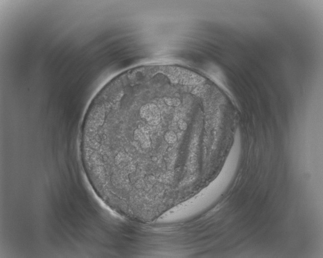 X0000066121484200603311523