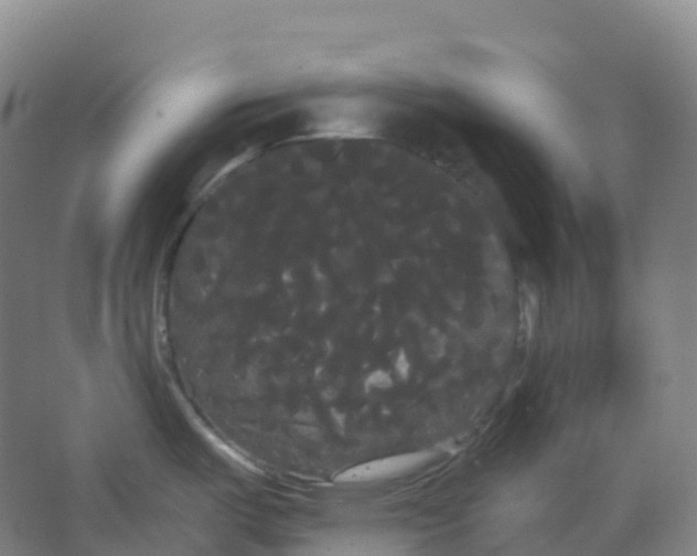 X0000066121487200603311522