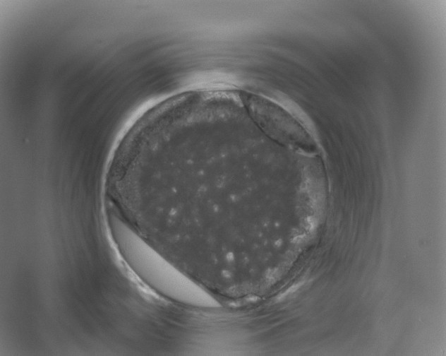 X0000066121488200603311522