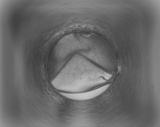 X0000066121489200603311522