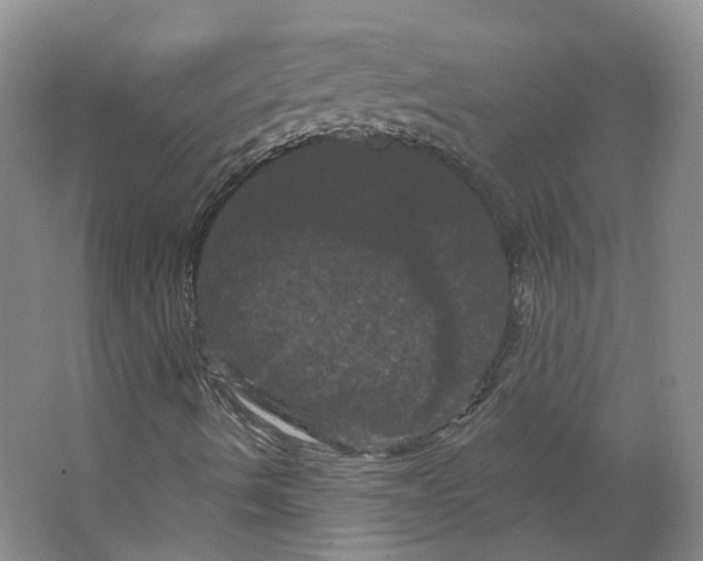 X0000066121490200603311522