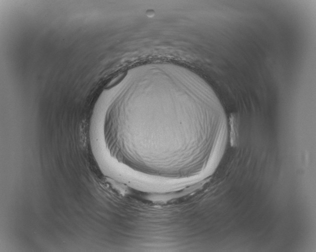 X0000066121491200603311522