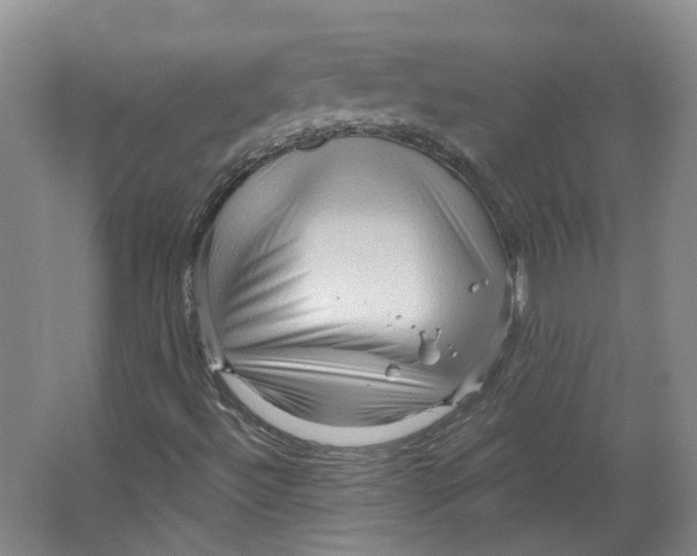 X0000066121492200603311522