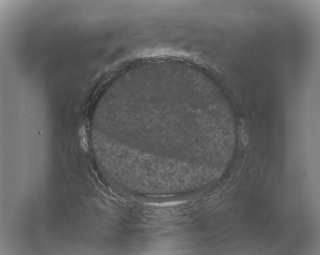 X0000066121493200603311522