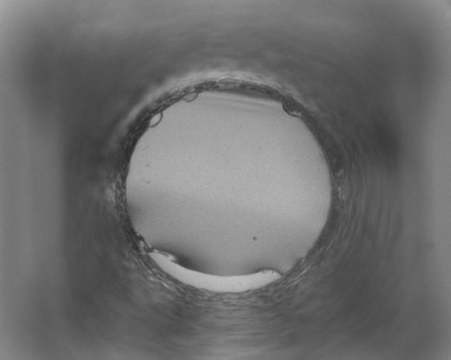 X0000066121495200603311522