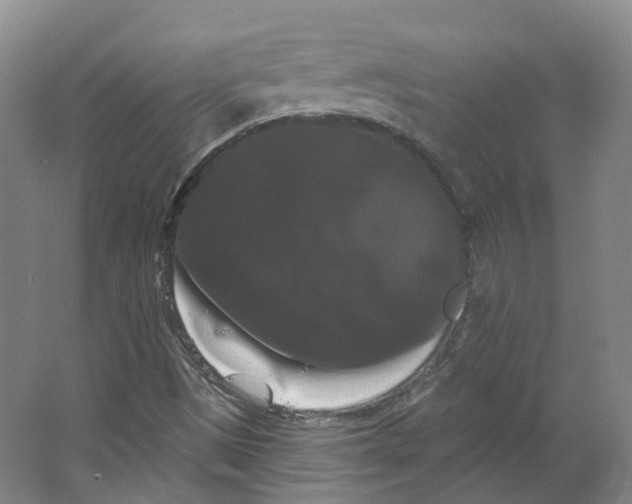 X0000066121497200603311522