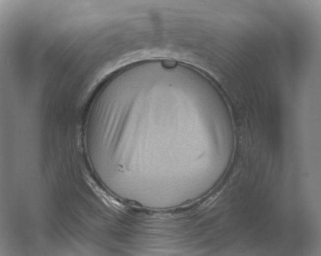 X0000066121499200603311522