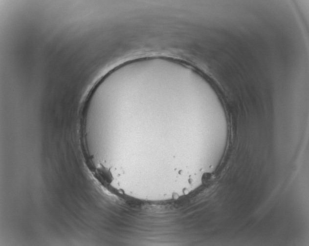 X0000066121500200603311522