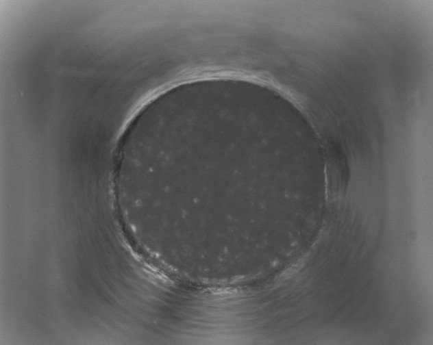 X0000066121501200603311522