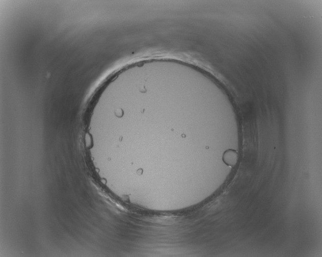 X0000066121502200603311522