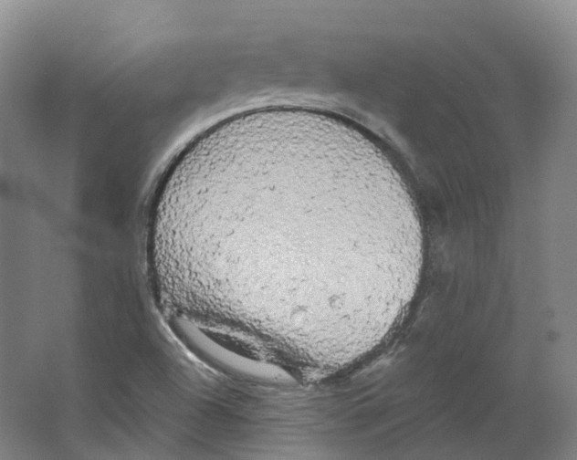 X0000066121504200603311522