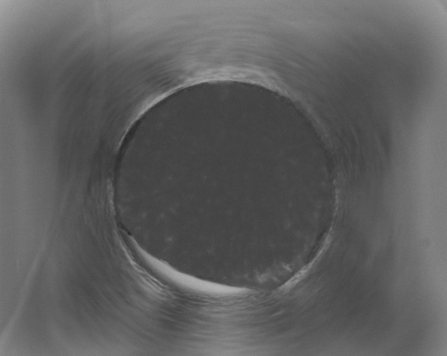 X0000066121505200603311522